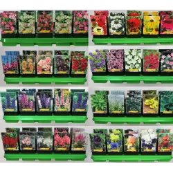 Perennial mix, 30+ different varieties