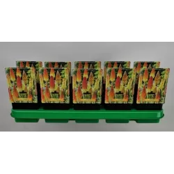 Knifofija - Kniphofia ulvaria ALCAZAR P20