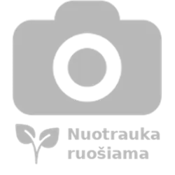 Cyclamen coum Album P9C0.5