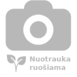 Rosa Topolina®