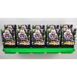 Kurpelė - Aconitum cammarum Bicolor ® P11