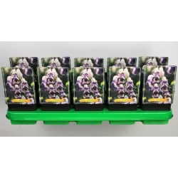 Kurpelė - Aconitum cammarum Bicolor ® P11