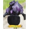Vilkdalgis (irisas) - Iris germanica Black WATCH P11