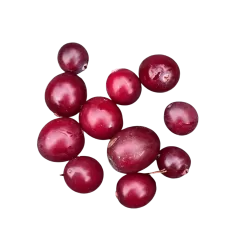 Sorbaronijos ir šliandros hibridas - Sorbomespilus (x Sorbaronia) DESERTNAJA ('Mitchurinskaja Desertnaja')