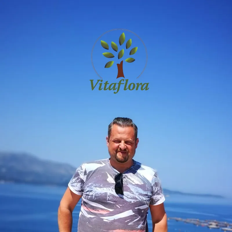 Professional advice service (remote, online)