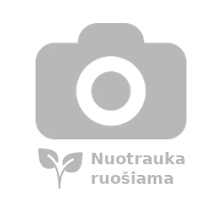 Actinidia arguta Ananasnaya 70 VK2L