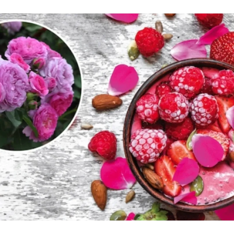 Rožė - Rosa RENEE van WEGBERG