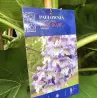Fortūno paulovnija - Paulownia fortunei MINFAST (FAST BLUE)