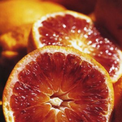 Apelsinmedis (raudonvaisis) - Citrus sinensis BLOOD ORANGE (ARANCIO ROSSO)