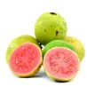 Guava - Psidium guajave ROSA