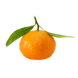 Citrus limetta rossa LEILA