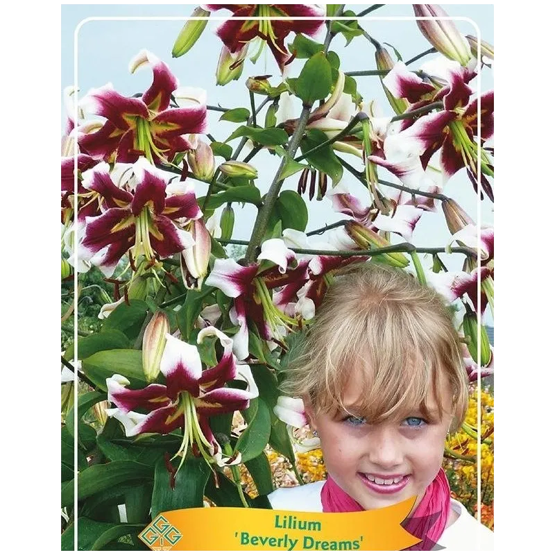 Užsisakyk augalus pavasariui jau dabar