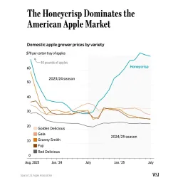 Obelų sodinukai internetu su pristatymu į namus