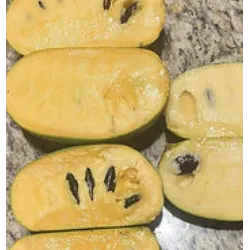 E-medelynas internete: vaismedžiai ir vaiskrūmiai