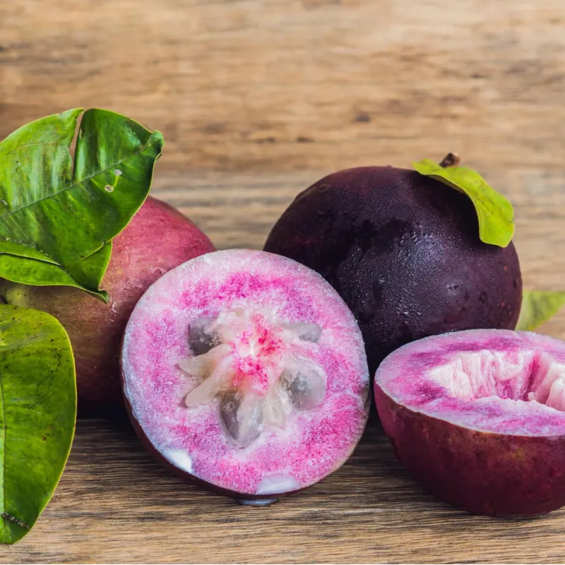 CHRYSOPHYLLUM CAINITO