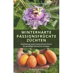 Kvapioji pasiflora - Passiflora edulis