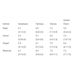 Vaccinium corymbosum HURON