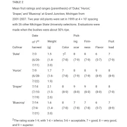 Aukštoji šilauogė (ankstyva - vid. vėl.)  - Vaccinium corymbosum HURON