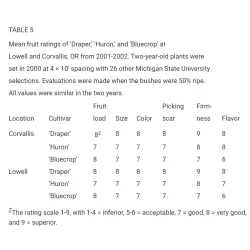 Vaccinium corymbosum HURON