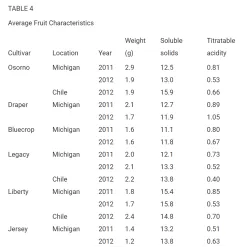 Vaccinium corymbosum OSORNO