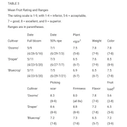 Aukštoji šilauogė (viso sezono) - Vaccinium corymbosum OSORNO