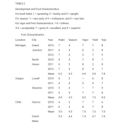 Vaccinium corymbosum OSORNO