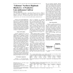 Vaccinium corymbosum TALISMAN