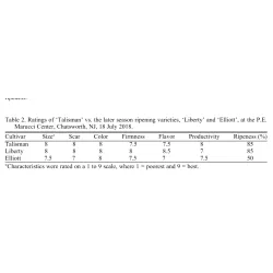Vaccinium corymbosum TALISMAN