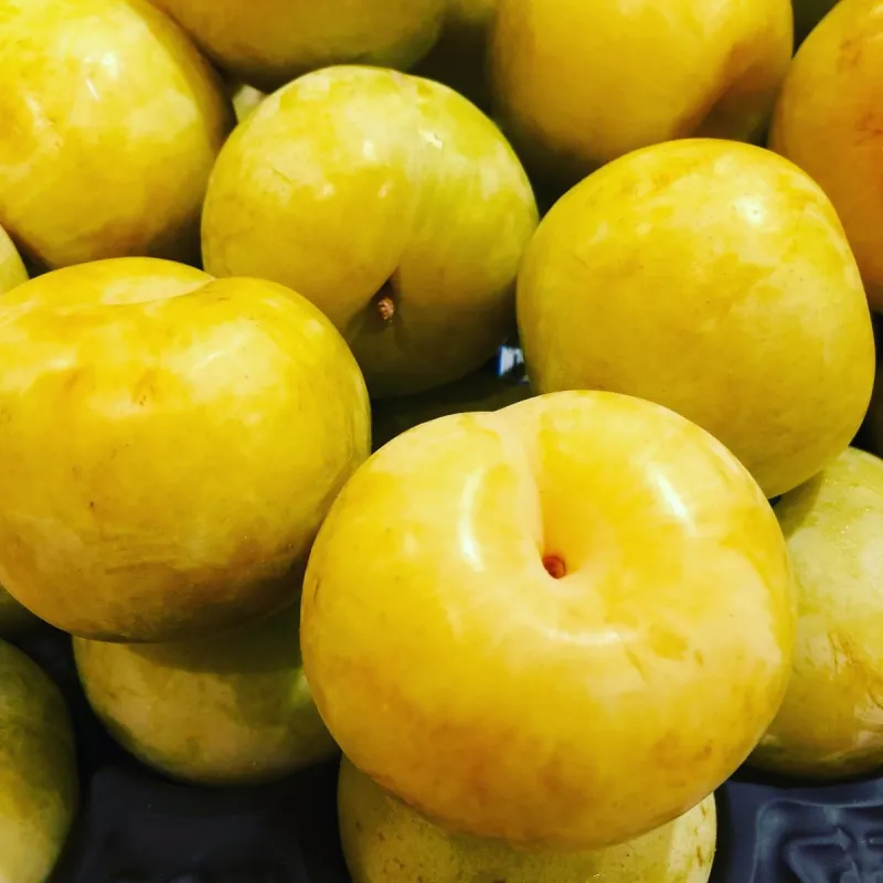 Pluot - Prunus salicina x armeniaca (pluot) FLAVOR QUEEN