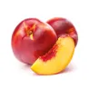 Nectarine - Prunus persica nucipersica HARKO