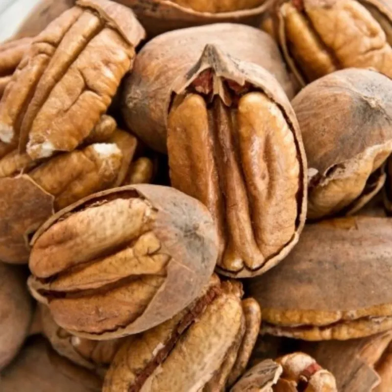 Riešutmedžiai internetu