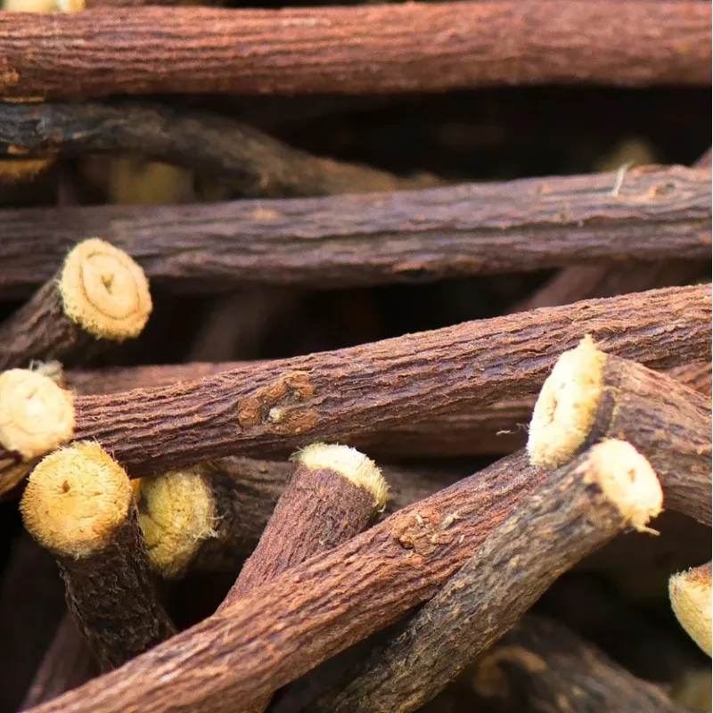 Uralinis (sibirinis, madžiūrinis) saldymedis - Glycyrrhiza uralensis GAN CAO