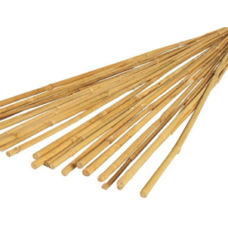 Bambuko lazdos 180 cm, 10 vnt.