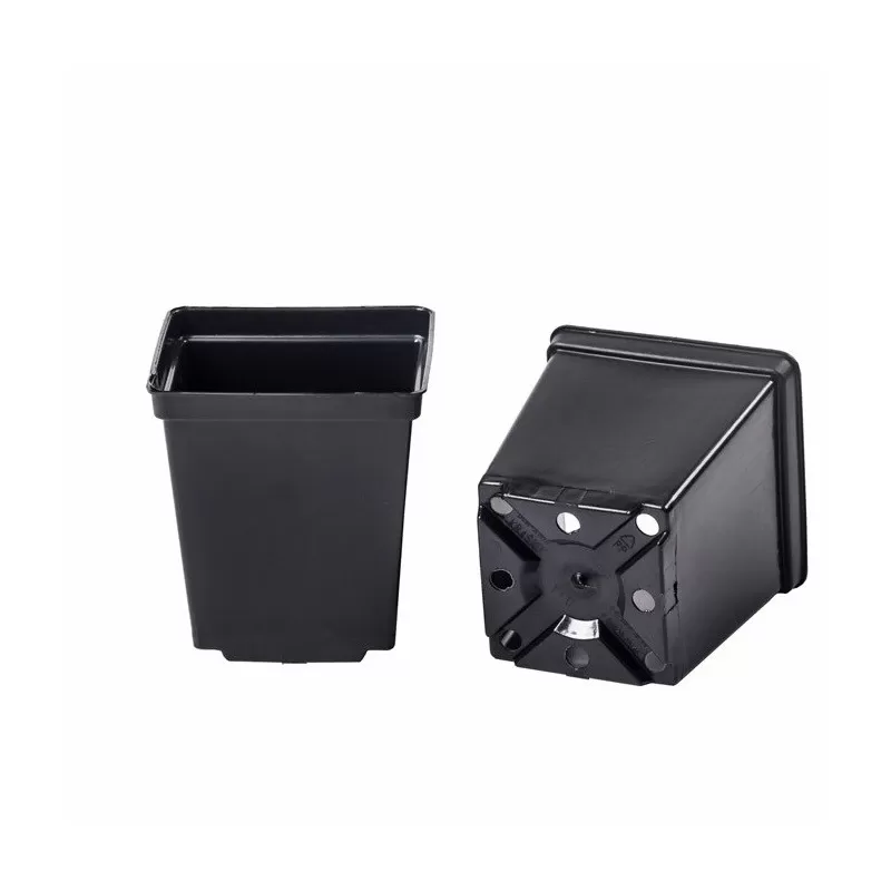 Vazonas, plastiko, standartinis, kampuotas, 11x11x12cm C1L, ZD, OD, U1, TD, TT