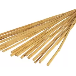 Bambuko lazdos 150 cm, 20 vnt.