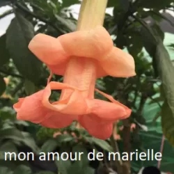 ''