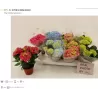 Darželinės hortenzijos Endless Summer Bloomstar su pristatymu į namus