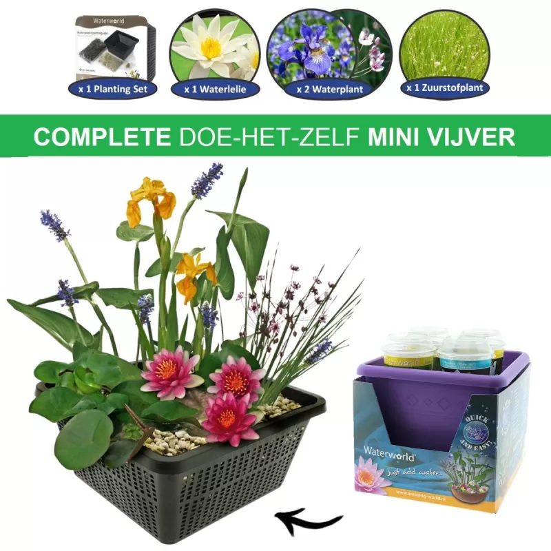 Vandens ir pakrančių augalų rinkinys viskas viename