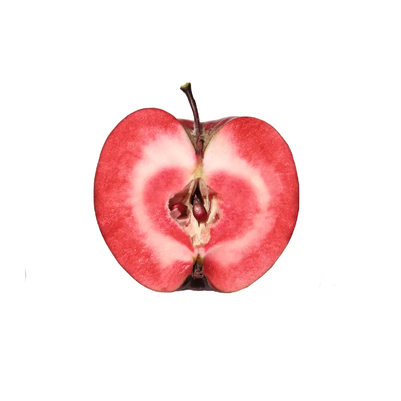 Obelų sodinukai internetu su pristatymu į namus