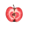 Apple Tree - Malus domestica REDLOVE ERA