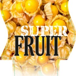 Tikroji dumplūnė - Physalis peruviana INCA GOLD BERRY