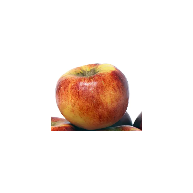 Žagarės sodų vaismedžiai internetu su pristatymu į namus