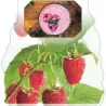 Raspberry - Rubus idaeus AROMA QUEEN