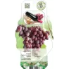 Grape Vine - Vitis vinifera VANESSA