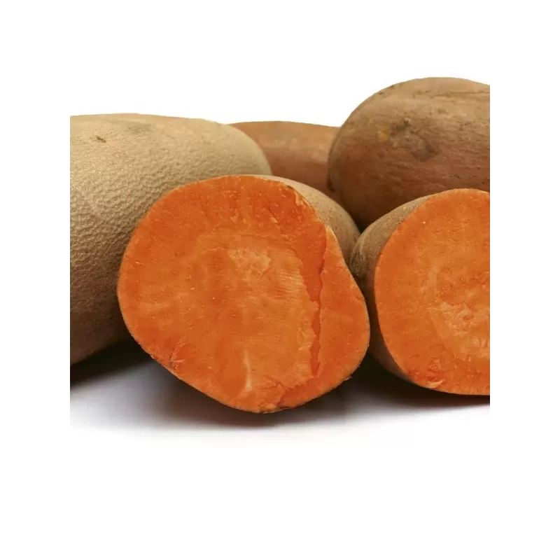 Sweet Potato BEAUREGARD