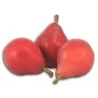 Kriaušė - Pyrus communis RAUDONA KLIAPO MĖGSTAMOJI
