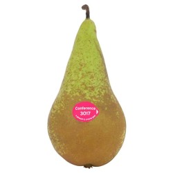 Pear - Pyrus communis CONFERENCE