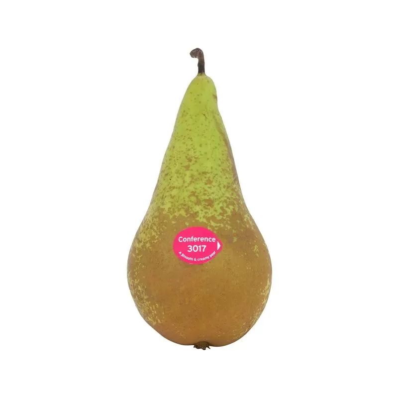 Pear - Pyrus communis CONFERENCE