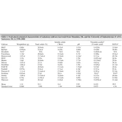 Alksnialapė medlieva - Amelanchier alnifolia SLEYT