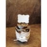 Sukulentas (eševerija), vazonėlyje 5.5cm, dekoruotas nėriniais ir šilko juostele su vardo kortele (gali būti be užrašo arba su juo)
